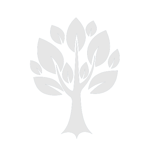 Bay_Tree__Logo-removebg-preview