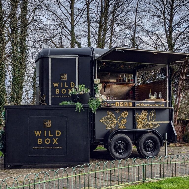 wild box 768x768