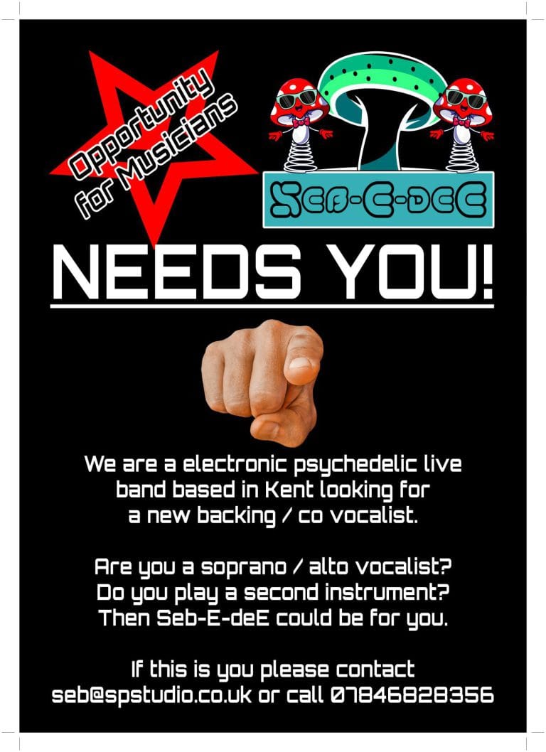 Seb E deE Needs You A4 Print File 768x1058